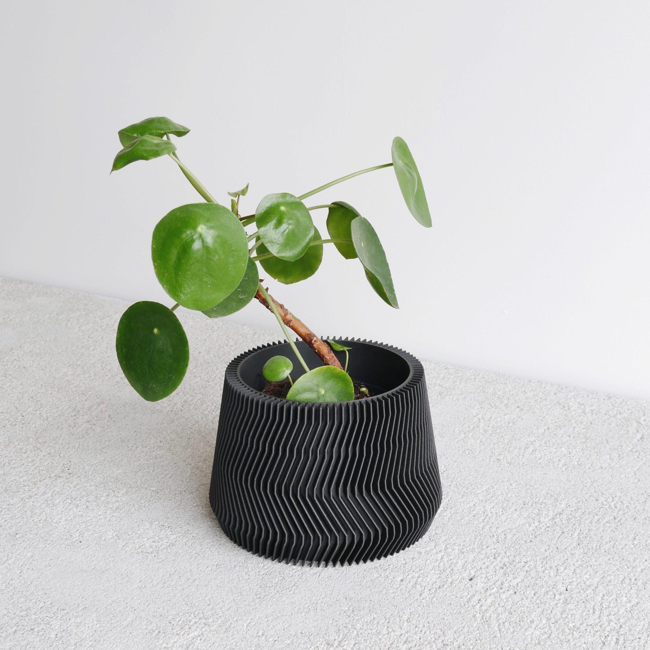 Black Savane planter #color_Black