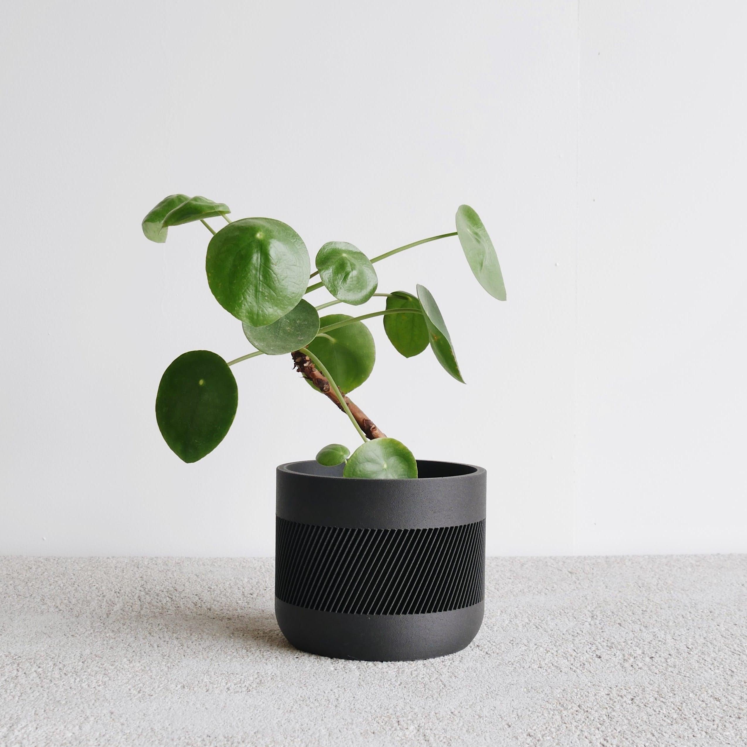 Black Therma indoor planter