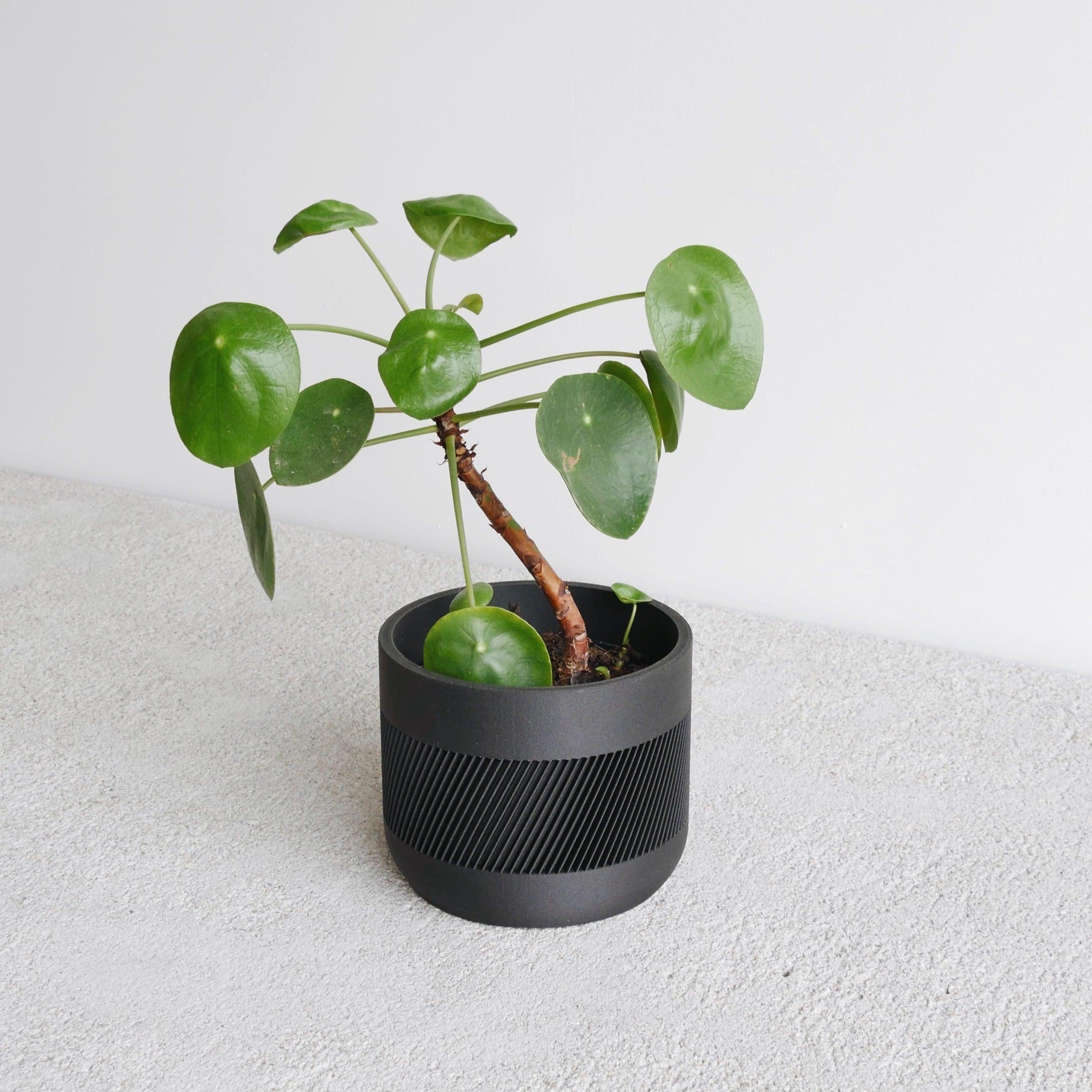 Black Therma indoor planter