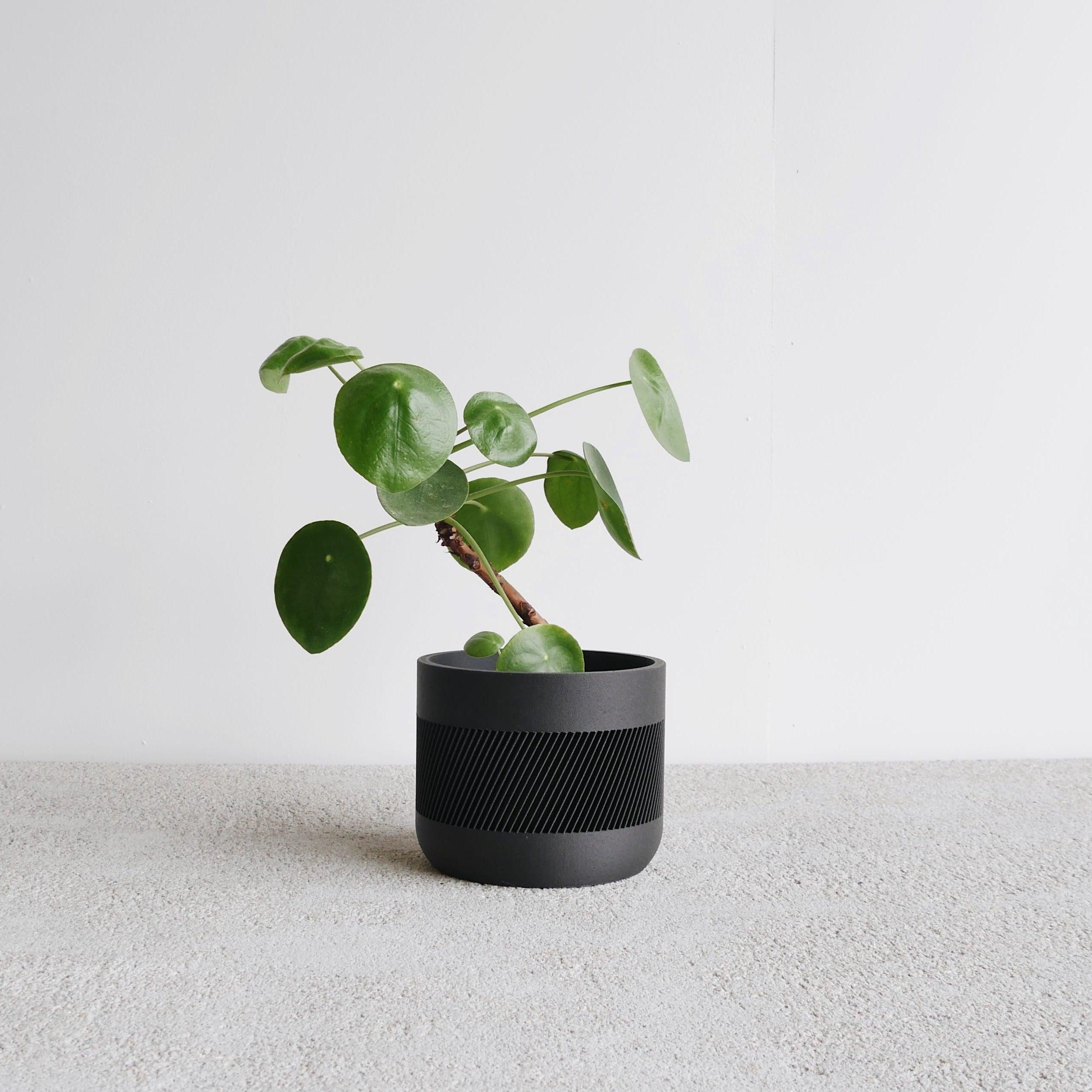 Black Therma indoor planter