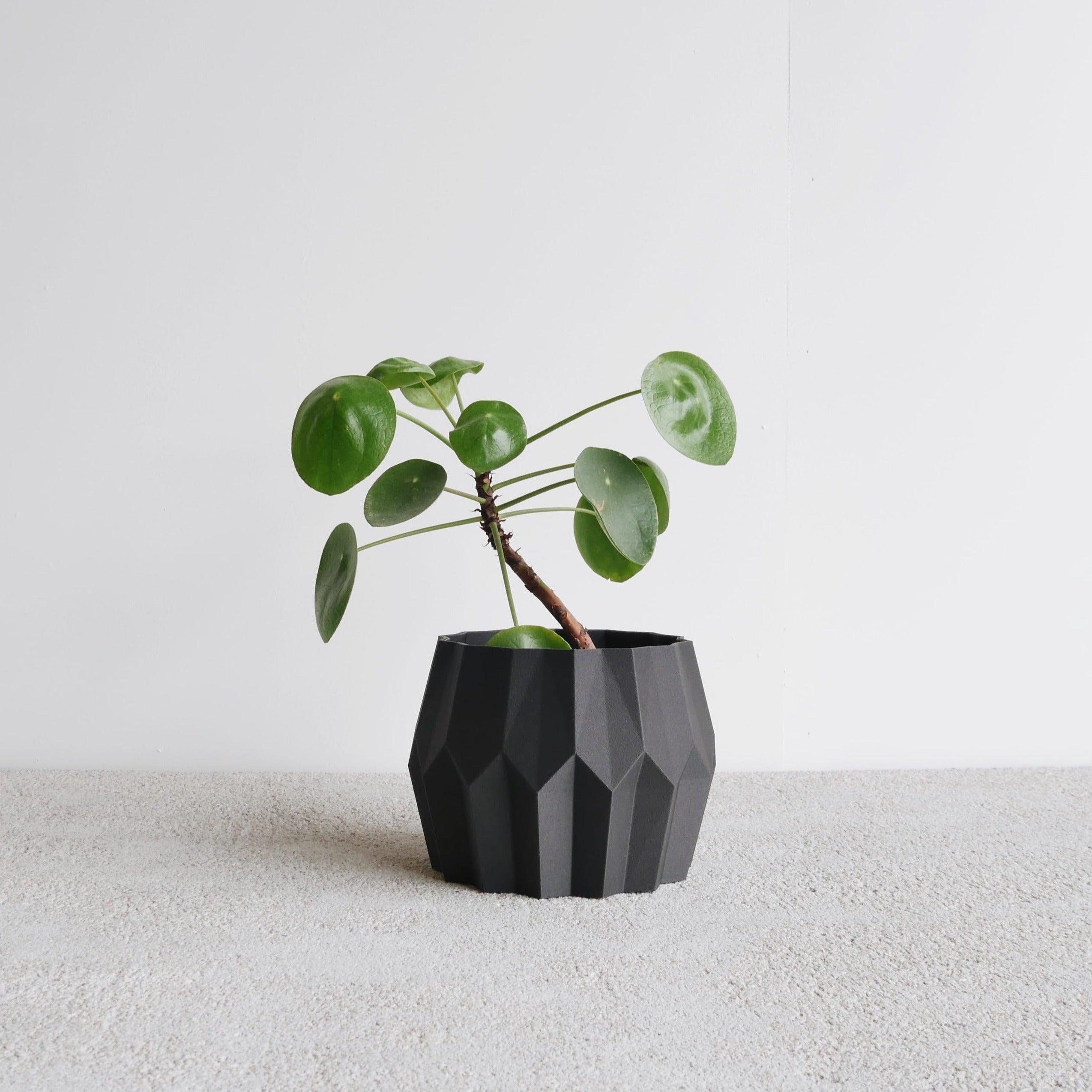 Black Tokyo indoor planter